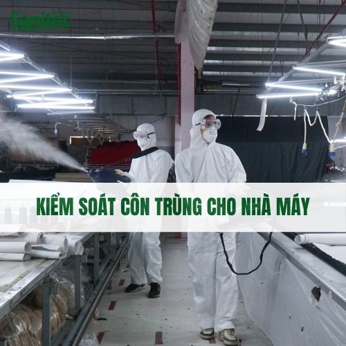 KIỂM SOÁT CÔN TRÙNG TRONG NHÀ MÁY SẢN XUẤT: YÊU CẦU BẮT BUỘC ĐỂ BẢO VỆ CHẤT LƯỢNG & THƯƠNG HIỆU